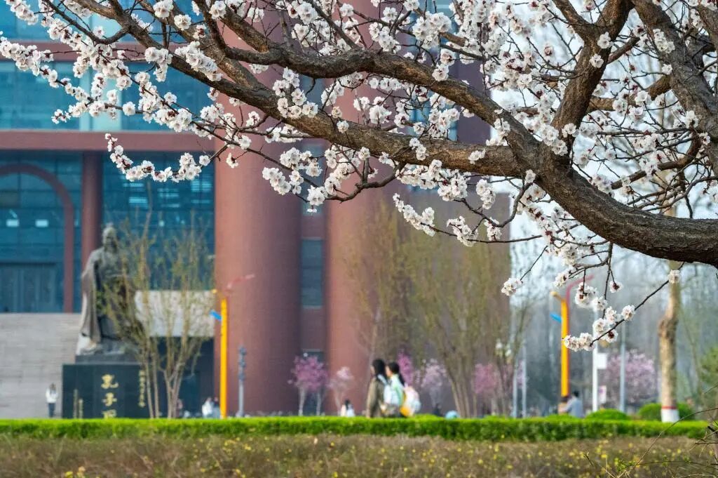 微信图片_2026-03-11_221004_173.jpg